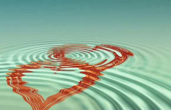 MoreSpin Casino Ënnerstëtzung